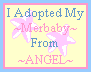 babycert.gif (1801 bytes)