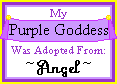 certpg.gif (1977 bytes)