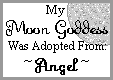 mgcert.gif (1986 bytes)