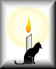 catvigil.jpg (2657 bytes)