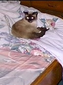 happy1.jpg (9345 bytes)