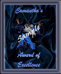 samexcelaward.jpg (20310 bytes)